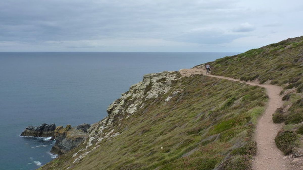 RNLI Called to Cornish Surf Ski Race After Competitors Hit Trouble