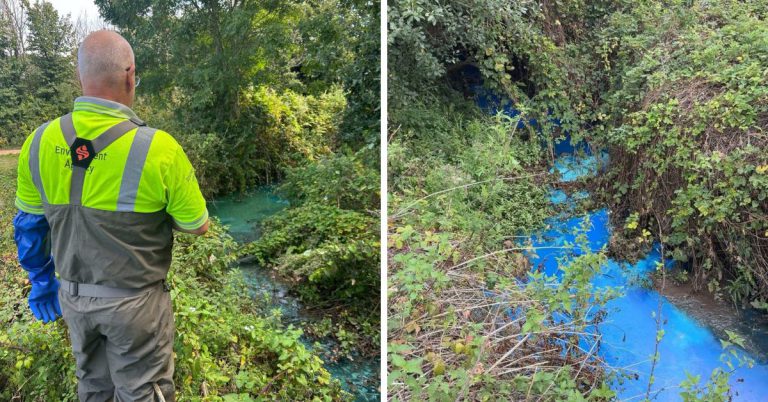 Blue Ink Pollution Prompts Exmouth No-Swim and Water Warnings