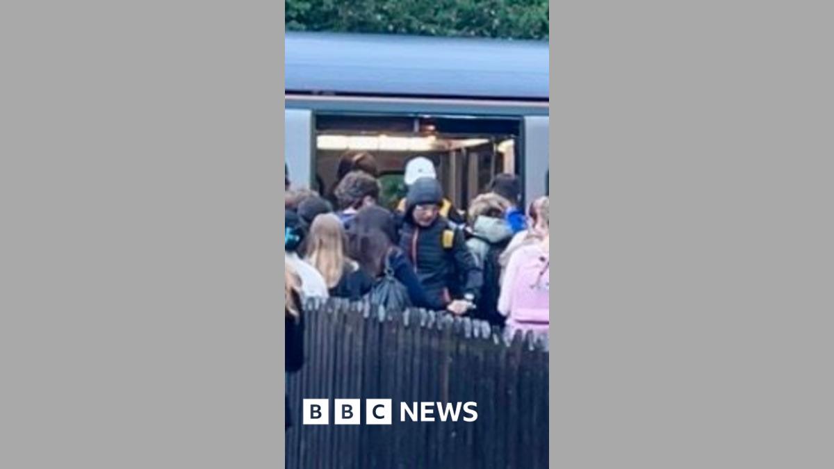 Crammed Trains on Devon Tarka Line Lead to Extra Buses