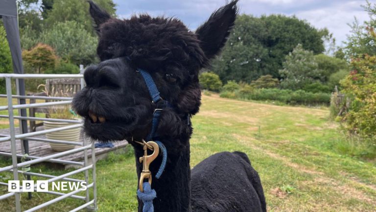 Make a Difference Animal Award Finalists Honoured
