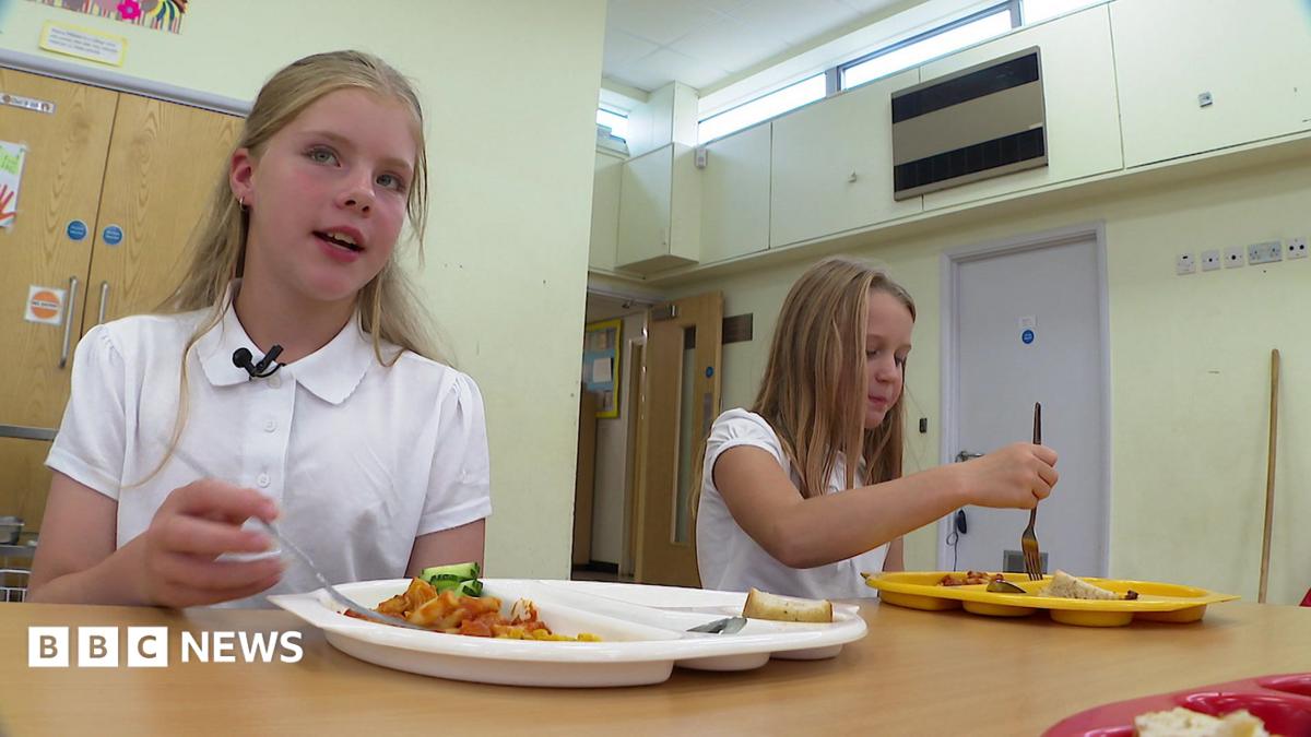 Devon School Pupils Eat Kilos of Olives