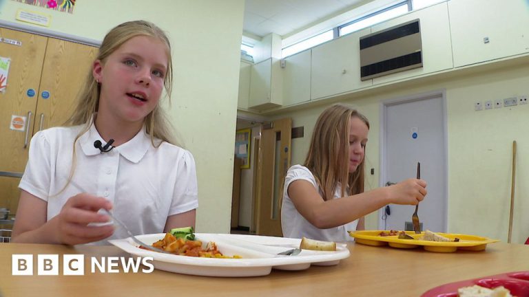 Devon School's Healthy Menu Sees Kids Eat Kilos of Olives