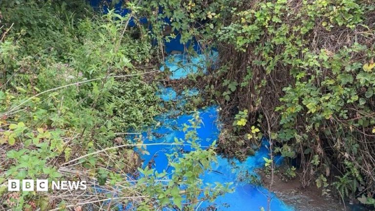Exmouth Beach Swim Warning After Brook Turns Blue