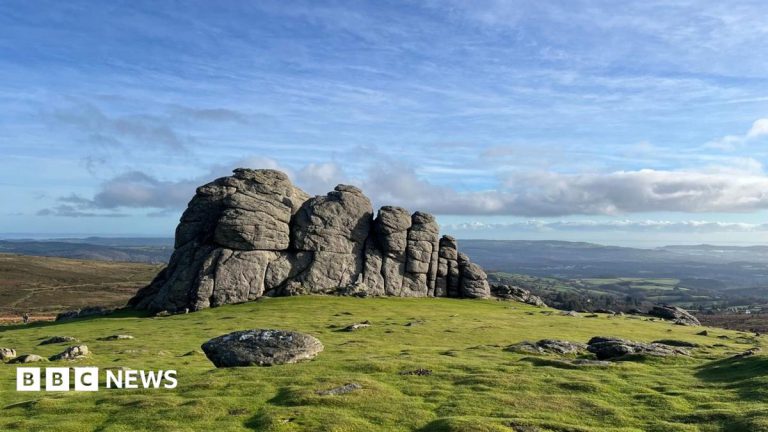 Devon Council Shake-Up Pause Raises Cost Questions