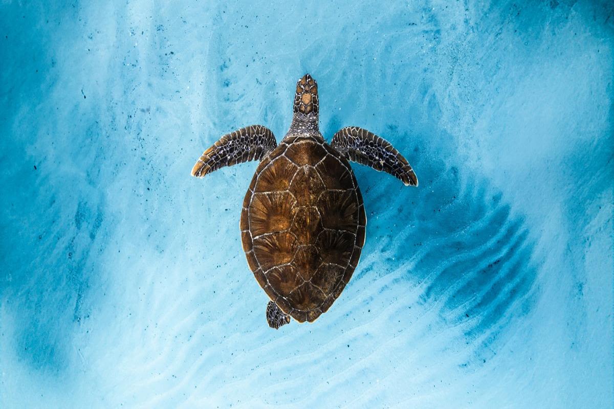 Ocean Film Festival to Make Cornwall Return in October