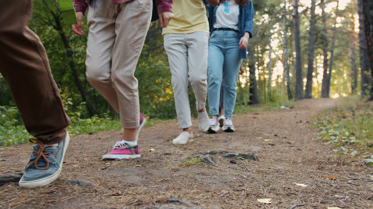 Free Cornwall Wellbeing Walks Help Older Adults Stay Active